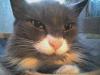 post-2392-1321961002_thumb.jpg