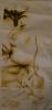post-15469-1352644353_thumb.jpg