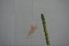 post-2-1353845513_thumb.jpg
