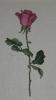 post-2-1353955023_thumb.jpg