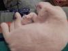 post-7686-1354302509_thumb.jpg