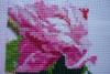 post-10978-1383731423_thumb.jpg