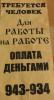 post-18576-1383566747_thumb.jpg