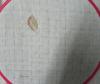 post-2-1384101082_thumb.jpg