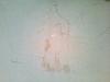 post-2-1384704402_thumb.jpg