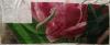 post-2-1385060502_thumb.jpg