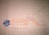 post-22068-1384775482_thumb.jpg