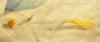 post-10071-1415037144_thumb.jpg