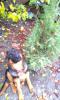post-10818-1417365642_thumb.jpg