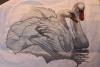 post-23823-1415530158_thumb.jpg
