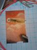 post-27552-1416121539_thumb.jpg