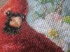 post-3183-1416325661_thumb.jpg