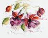 Lanarte 34849 (PN-0008026), Фуксия в акварели (Fucsia in Watercolour)