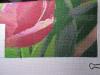 post-13595-1447174402_thumb.jpg