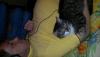 post-21056-1446653359_thumb.jpg