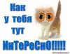 post-25070-1447152989_thumb.jpg