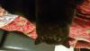 post-27788-1447121514_thumb.jpg