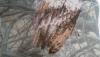 post-3183-1446395509_thumb.jpg