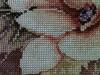 post-3183-1447773643_thumb.jpg