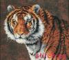 Dimensions 03236, Тигр (Tiger)