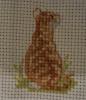post-682-1260201381_thumb.jpg