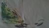 post-12074-1324628379_thumb.jpg