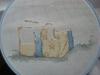 post-2-1322999051_thumb.jpg