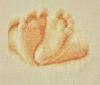 post-9006-1324366680_thumb.jpg