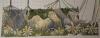 post-10292-1354617195_thumb.jpg