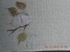 DSCN1056.JPG