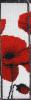 post-2-1387133225_thumb.jpg