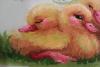post-22462-1386157342_thumb.jpg