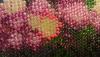 post-24499-1387658263_thumb.jpg