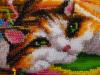 post-10978-1418121340_thumb.jpg