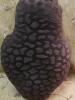post-11198-1419279791_thumb.jpg
