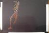 post-22188-1418043361_thumb.jpg