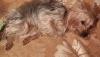 post-22596-1418273806_thumb.jpg
