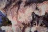 post-25647-1418921611_thumb.jpg