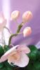 post-29339-1418126735_thumb.jpg