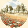 Heritage 261, Маковое поле (Летний луг, Summer Meadow), ПОДБОР