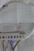 DSC00340.JPG