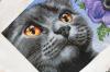 12.thumb.JPG.822e407fbca2b813f44a036113c