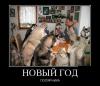 1419495874_novyy-god-polyarnika.thumb.jp