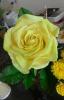 2.thumb.jpg.2d4a9167ab5cb707ce28f20f4a12