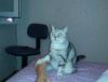 20150721_071048.thumb.jpg.edb44fdfd44f79