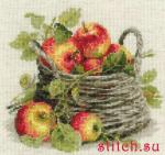 29652.thumb.jpg.4fbf6bcd75f9394fa154a408