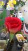 3.thumb.jpg.c59d6a278fea84bb0581543a6999