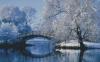 402728-028d4-91415208-m750x740-u81595.th