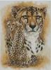402728-37ba9-91399617-m750x740-u15eb0.th