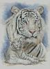 402728-43e58-91399616-m750x740-uf883b.th
